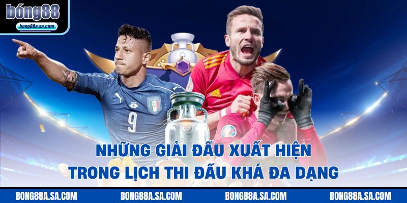 Những giải đấu xuất hiện trong lịch thi đấu khá đa dạng